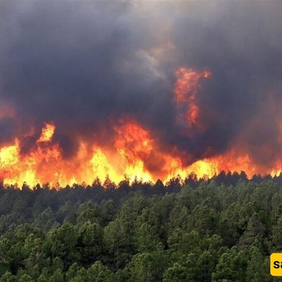 Elit Forest Fire Now Under Control