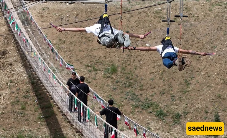 Zip Line 