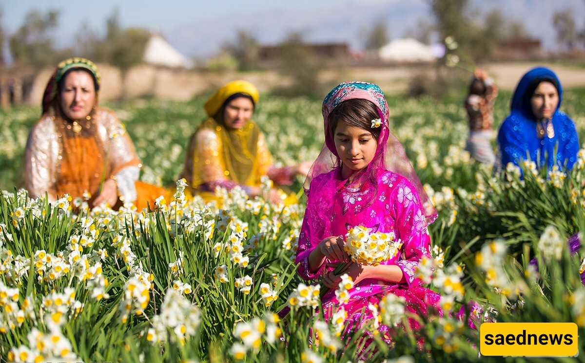 Where is Baladeh, and What Are Its Tourist Attractions?