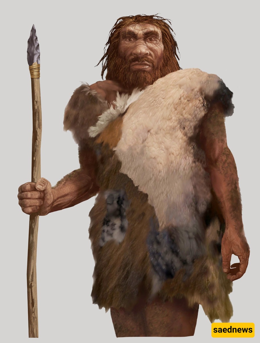 animal skins
