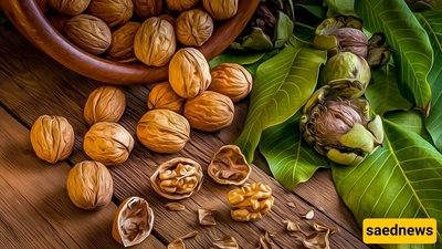 Fast and Easy Ways to Remove Black Walnut Stains from Hands