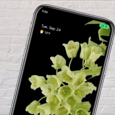 What Is the Green Icon at the Top of Samsung, Xiaomi, and Other Phones? Its Purpose and How to Manage It