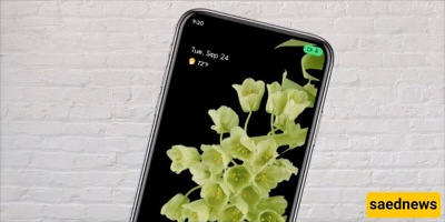 What Is the Green Icon at the Top of Samsung, Xiaomi, and Other Phones? Its Purpose and How to Manage It