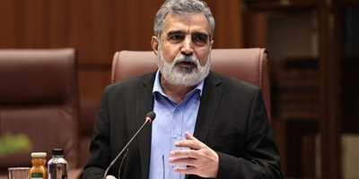 No IAEA Inspectors in Iran, Iranian Spokesman Says