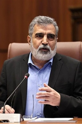No IAEA Inspectors in Iran, Iranian Spokesman Says