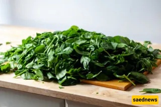 Spanakopita recipe 