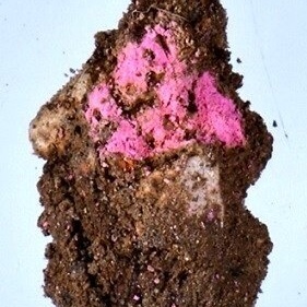 Discovery of ‘Barbie’ Cosmetics in a 2,000-Year-Old City