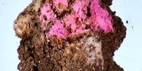 Discovery of ‘Barbie’ Cosmetics in a 2,000-Year-Old City