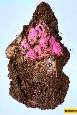 Discovery of ‘Barbie’ Cosmetics in a 2,000-Year-Old City