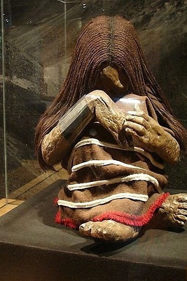 Plomo the Mummy: An Exceptionally Well-Preserved Frozen Discovery