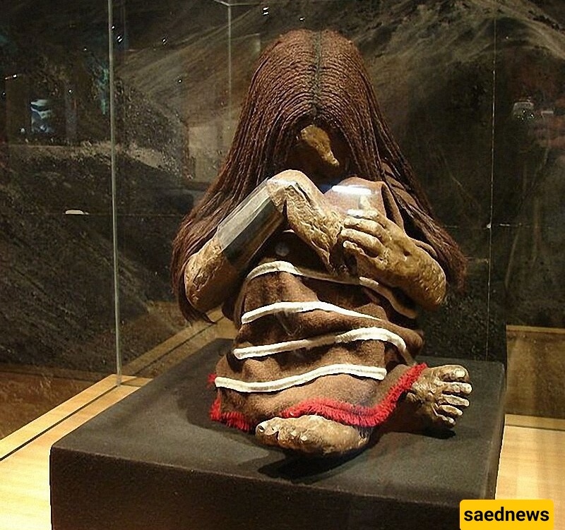 Plomo the Mummy: An Exceptionally Well-Preserved Frozen Discovery