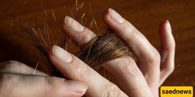 What Causes Split Ends And How Can You Prevent Them?