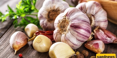 How to Keep Garlic From Sprouting in the Kitchen