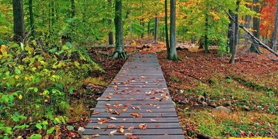 Gisum Forest Park in Gilan's Lush Landscape