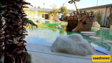 Polar Zone