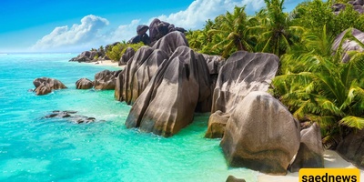Getting to Know the Culture and Customs of the People of Seychelles!