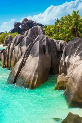 Getting to Know the Culture and Customs of the People of Seychelles!