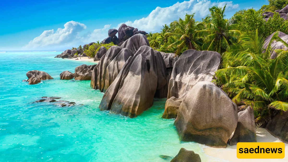Getting to Know the Culture and Customs of the People of Seychelles!