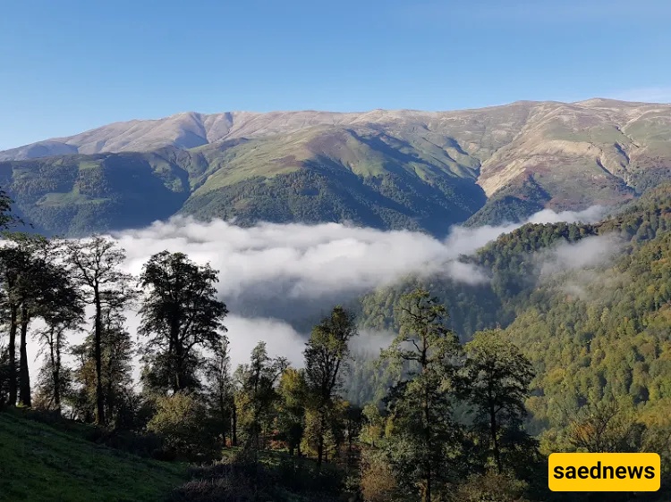 Masal in summer