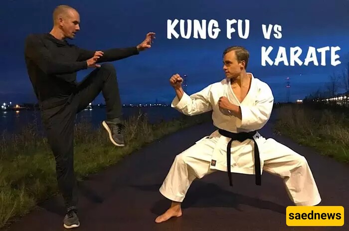 Introduction to the Martial Art Kung Fu; A Journey into the World of Martial Arts and Inner Peace!