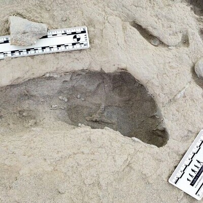 Extraordinary Discovery: Footprints of Two Extinct Human Species Found Walking Side by Side 1.5 Million Years Ago + Photos