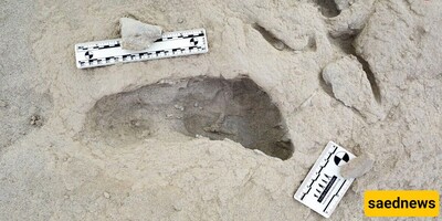 Extraordinary Discovery: Footprints of Two Extinct Human Species Found Walking Side by Side 1.5 Million Years Ago + Photos