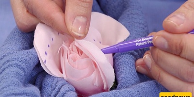 Everything You Need to Know About Vaginal Cosmetic Surgery (Labiaplasty)