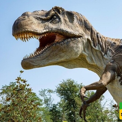 World’s Oldest Dinosaur Fossil, 233 Million Years Old, Unearthed in Brazil After a Rainy Day [Photos]
