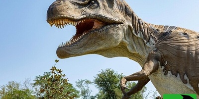 World’s Oldest Dinosaur Fossil, 233 Million Years Old, Unearthed in Brazil After a Rainy Day [Photos]