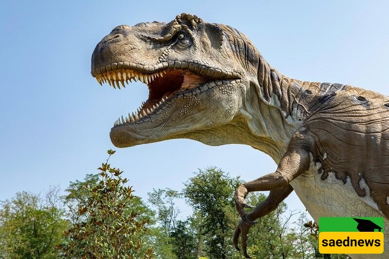 World’s Oldest Dinosaur Fossil, 233 Million Years Old, Unearthed in Brazil After a Rainy Day [Photos]