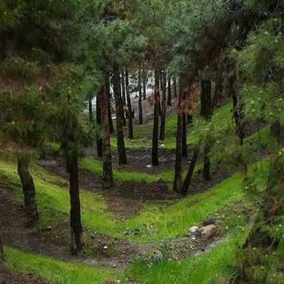Chitgar Forest Park: Exploring Tehran’s Natural Beauty and Bird Garden