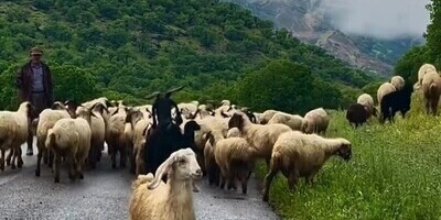 Walking in The Spring of The Incredible Village of Zarrin Chaghā; It’s a Breath of Fresh air / Be Dure To Visit This Heavenly Place During Your First Trip of The Year + Video.