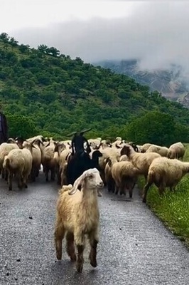 Walking in The Spring of The Incredible Village of Zarrin Chaghā; It’s a Breath of Fresh air / Be Dure To Visit This Heavenly Place During Your First Trip of The Year + Video.