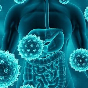 Scientists Discover Immune Cells Can “Feel” Their Surroundings