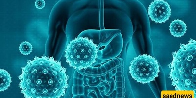 Scientists Discover Immune Cells Can “Feel” Their Surroundings