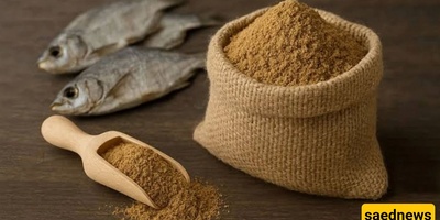 Are You Familiar with the Amazing Benefits of Fish Powder?