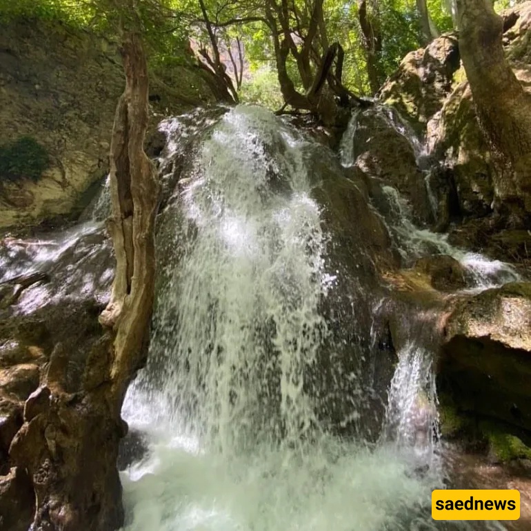 Shiraz Nature