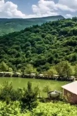A Journey to Swan Lake: A Captivating and Majestic Destination