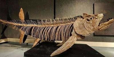 11-Year-Old Girl Discovers Fossil of the Ocean’s Largest ‘Sea Monster’ + Photo