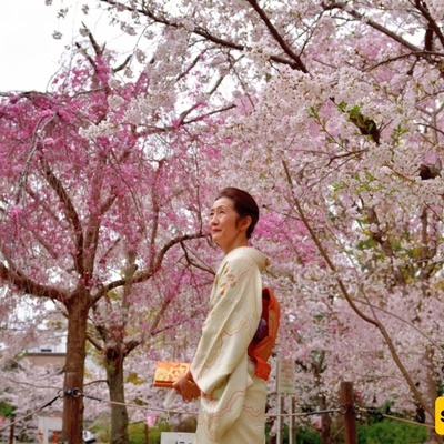 Where Is Maruyama Park in Kyoto?