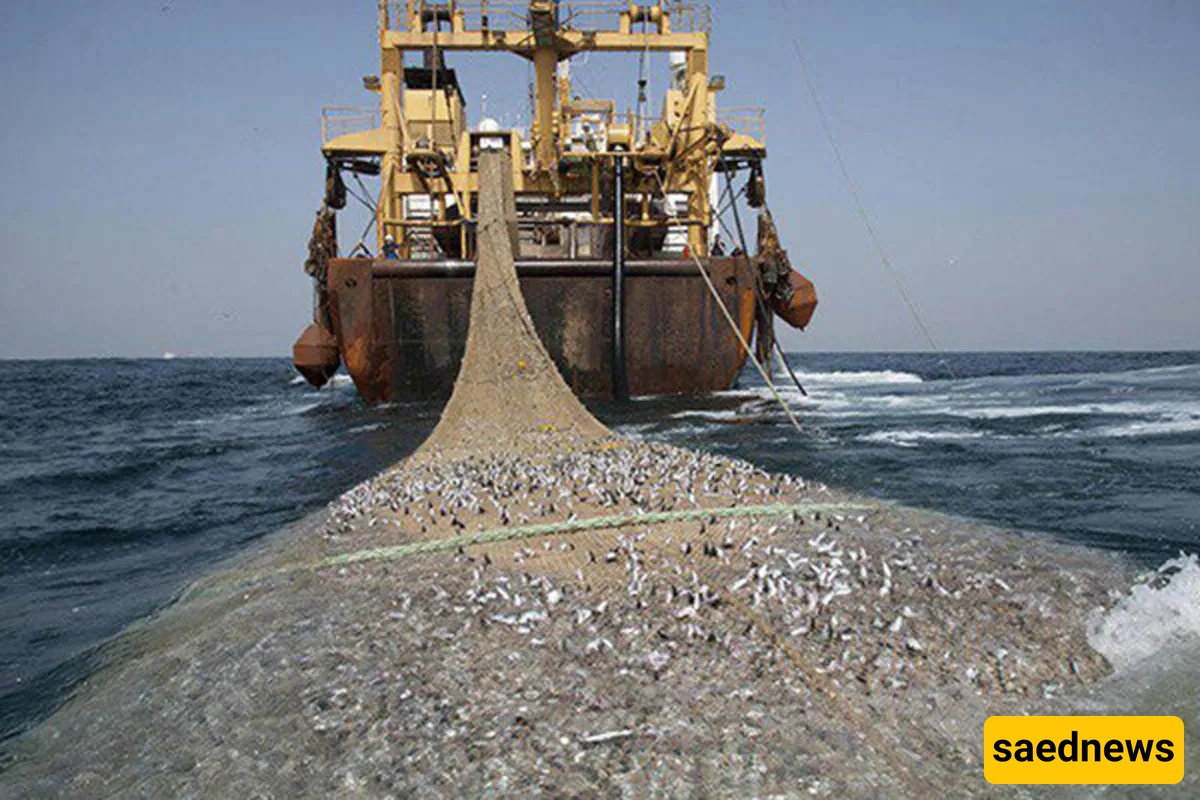 persian gulf