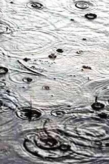 The Interpretation of Rain in Dreams According to Imam Sadiq / Rain in Dreams Symbolizes Blessings, Prosperity, Mercy, and Provision