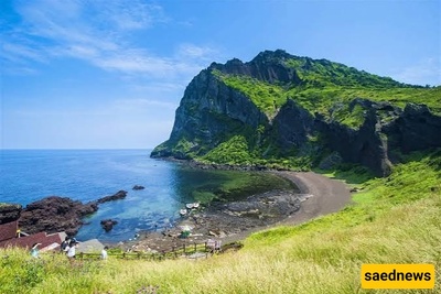 Complete Guide to Exploring Jeju Island, South Korea