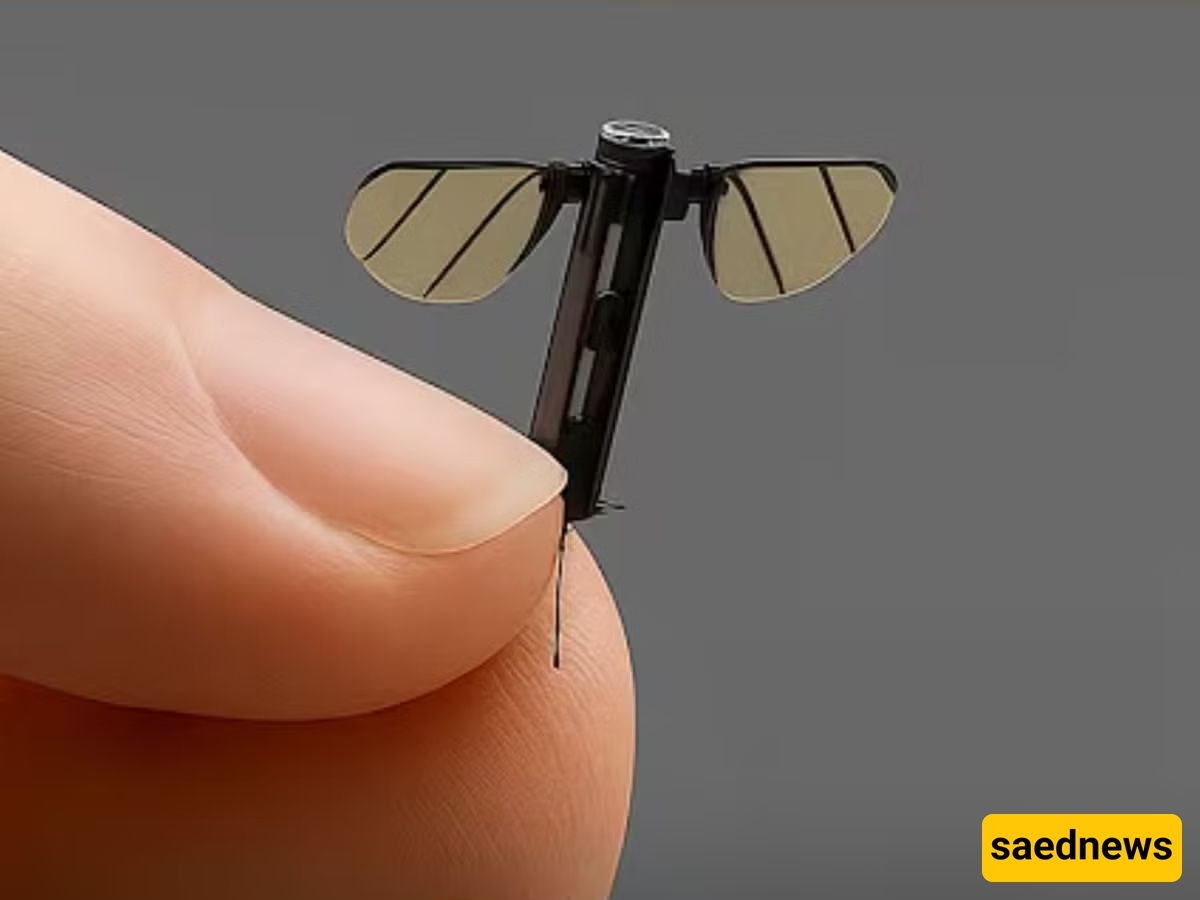 China Unveils Mosquito-Sized Spy Drone That Could Cripple Entire Armies