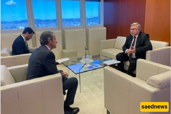 Russia’s Ulyanov Discusses Iran Nuclear Issue With IAEA Chief