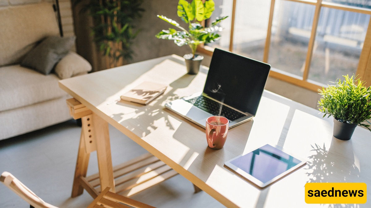 Create a Comfortable and Focused Environment