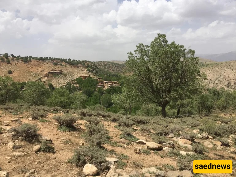 Shiraz Nature