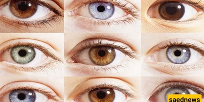 The Amazing Secrets Behind How People’s Eye Color Changes