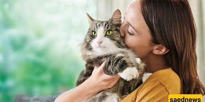 Cat Owners at Risk of a Dangerous Mental Health Condition — Researchers Say, Not Us!