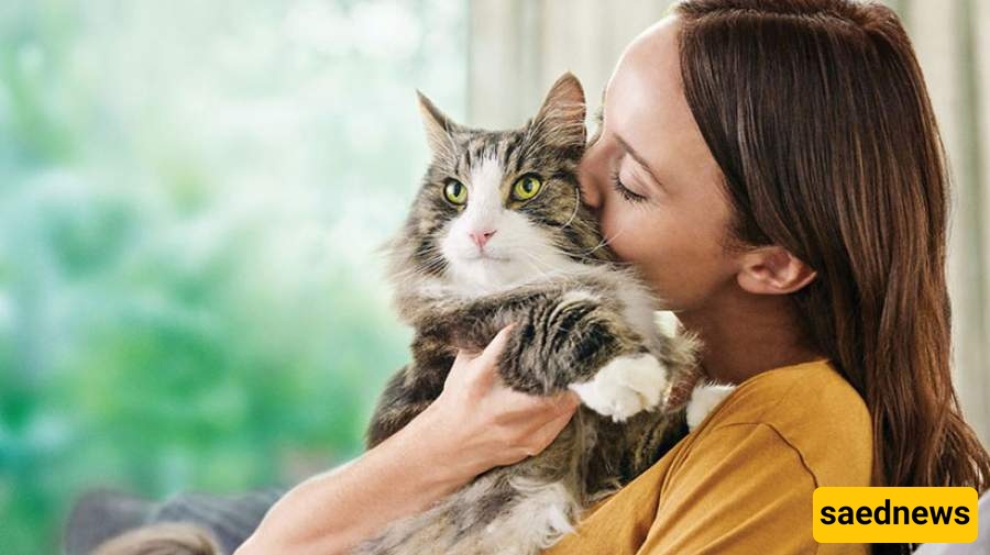 Cat Owners at Risk of a Dangerous Mental Health Condition — Researchers Say, Not Us!
